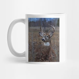 Splendor in the Grass - White-tailed Deer Mug